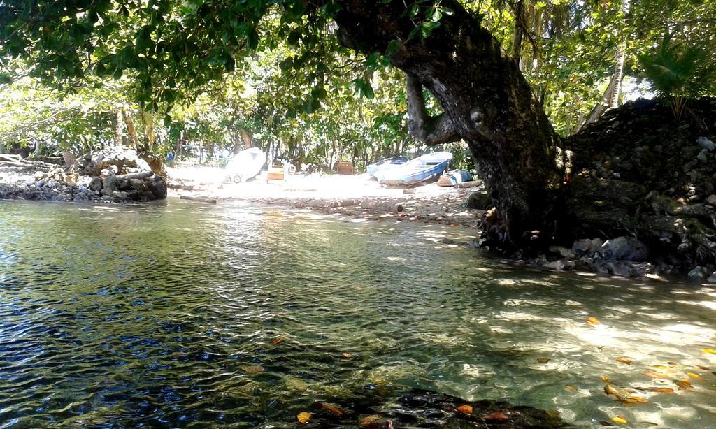 Casa Marcellino Lodge Cahuita Zewnętrze zdjęcie