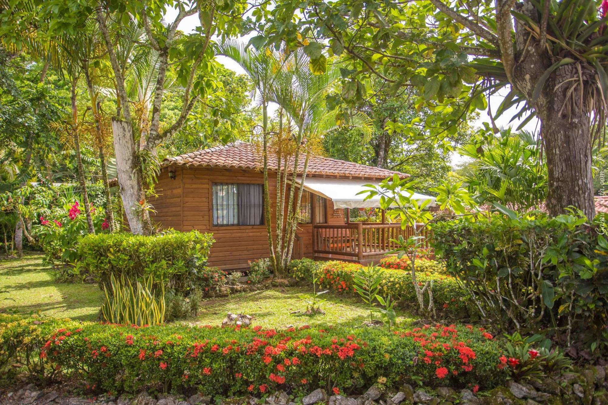 Casa Marcellino Lodge Cahuita Zewnętrze zdjęcie