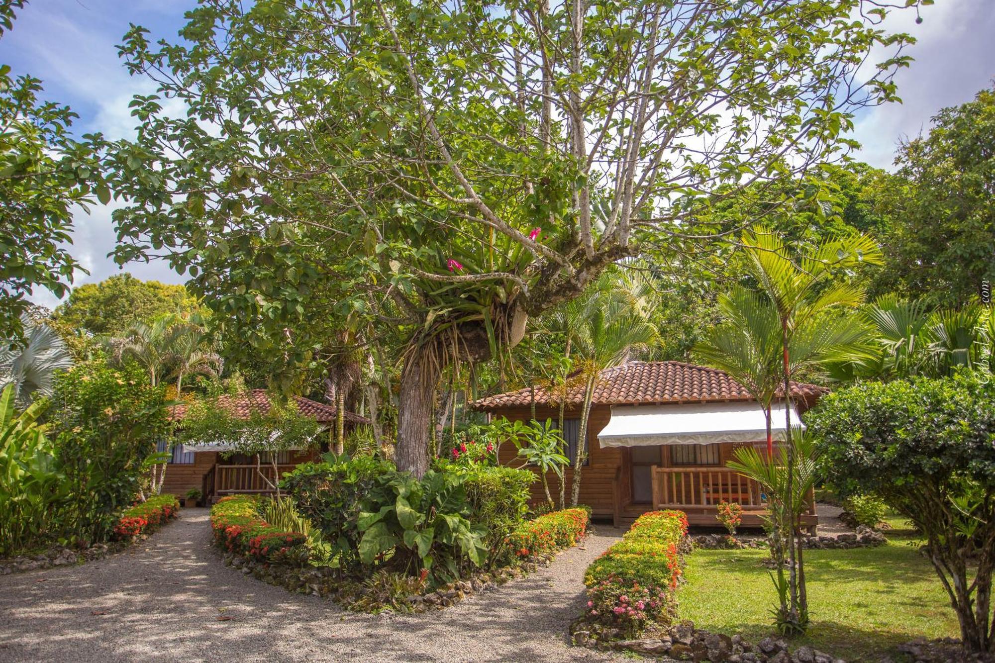 Casa Marcellino Lodge Cahuita Zewnętrze zdjęcie