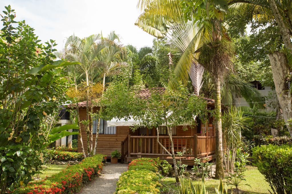 Casa Marcellino Lodge Cahuita Zewnętrze zdjęcie