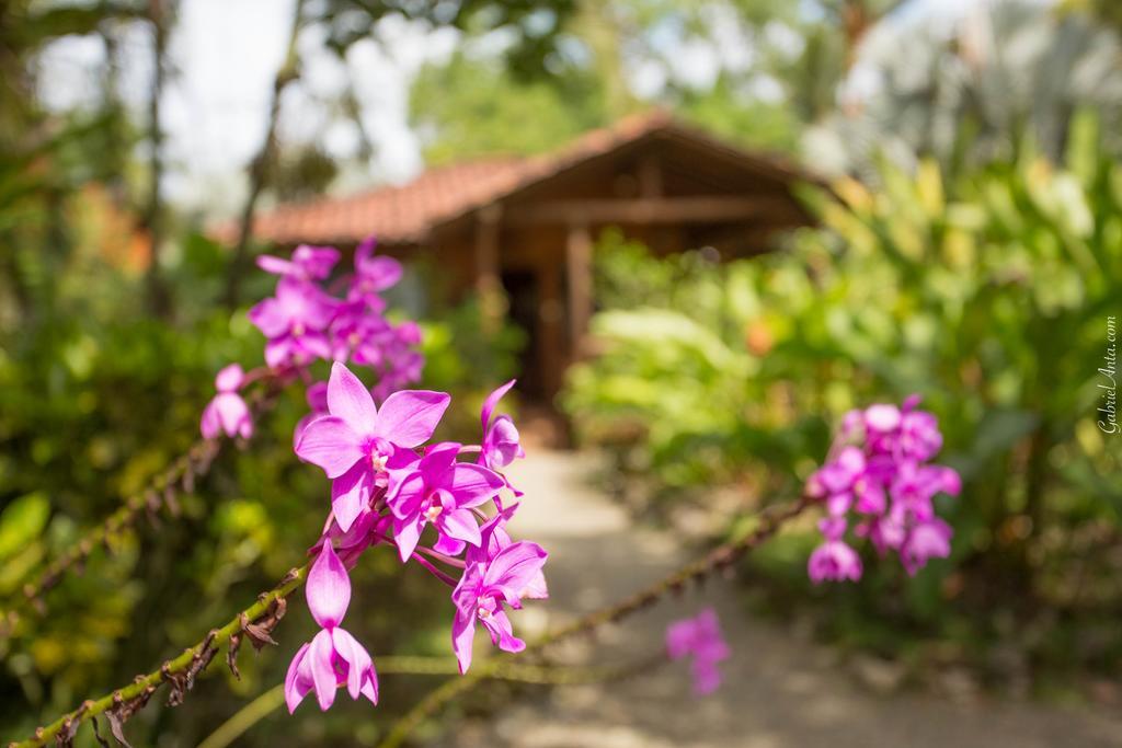 Casa Marcellino Lodge Cahuita Zewnętrze zdjęcie