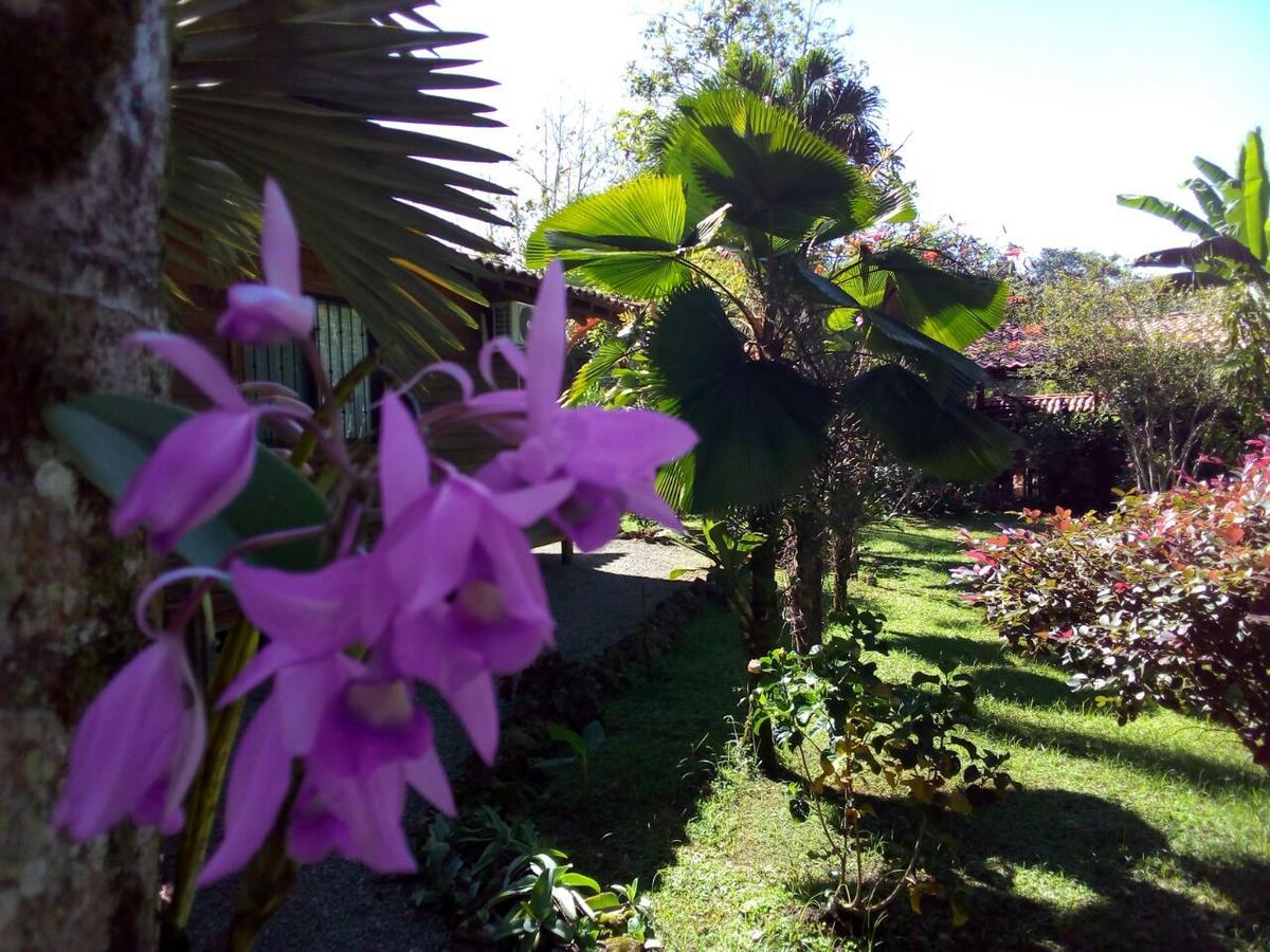 Casa Marcellino Lodge Cahuita Zewnętrze zdjęcie
