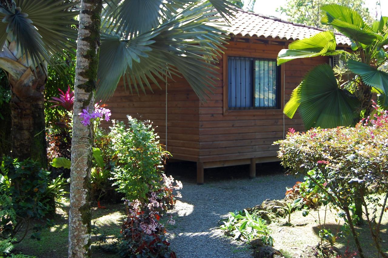 Casa Marcellino Lodge Cahuita Zewnętrze zdjęcie