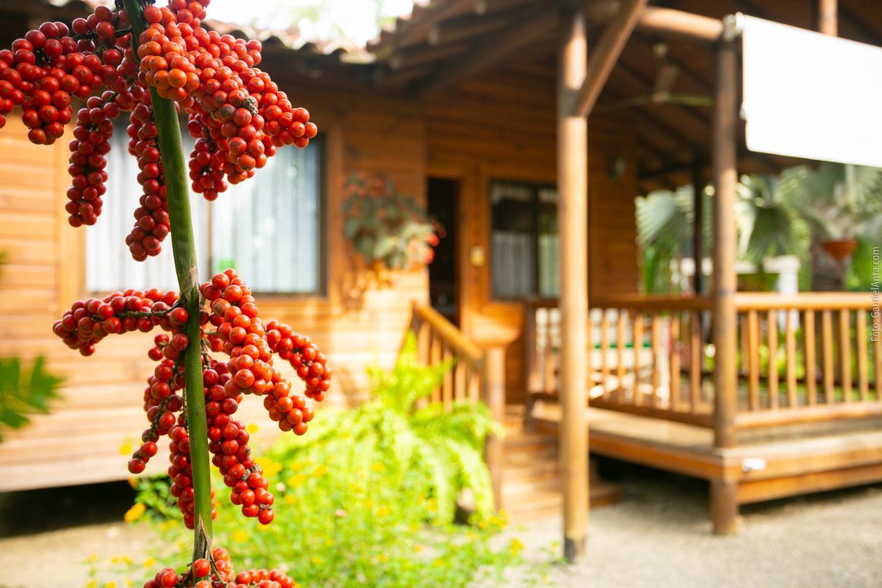 Casa Marcellino Lodge Cahuita Zewnętrze zdjęcie