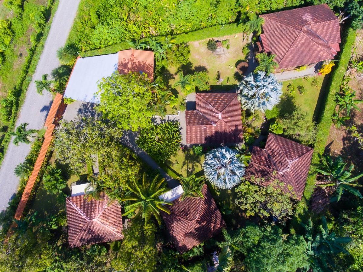 Casa Marcellino Lodge Cahuita Zewnętrze zdjęcie